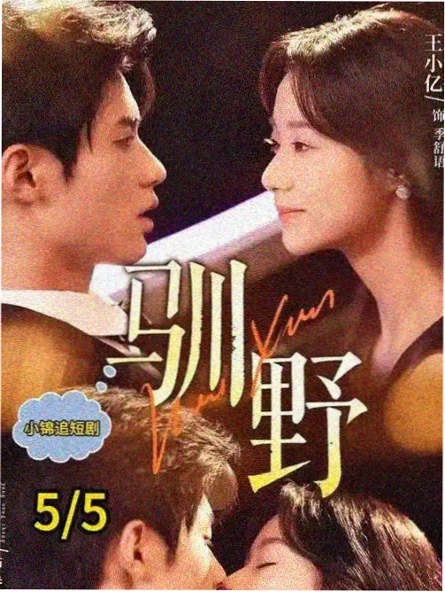 西瓜影院高口碑悬疑剧集封面